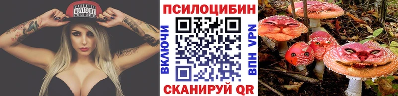 Галлюциногенные грибы мухоморы Светлоград