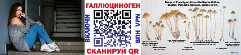 Псилоцибиновые грибы прущие грибы  Светлоград 