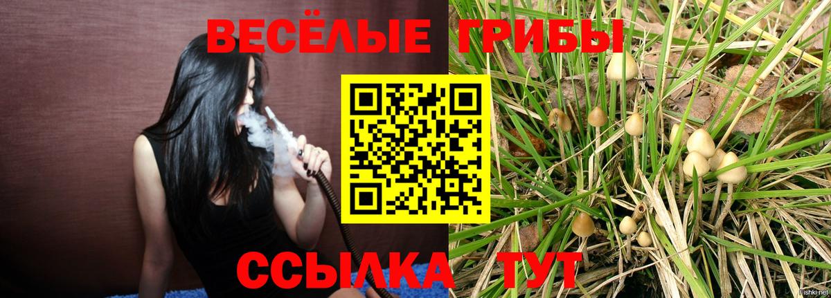 Светлоград  Псилоцибиновые грибы мицелий  Вход с VPN 